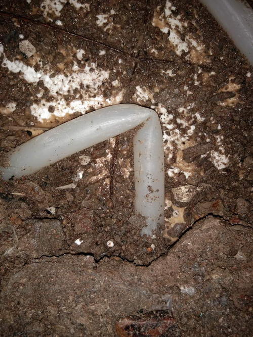 玉环堵点精准查找